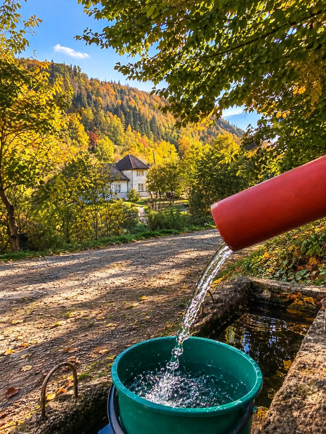 Woda leje się z czerwonej rury do zielonego wiadra przy wiejskiej drodze, w tle jesienny las